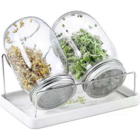 Filiyano – Kit de germination complet pour bocaux Mason, comprenant 2 bocaux d'un quart de gallon avec couvercles et des grilles en acier inoxydable (1/4)