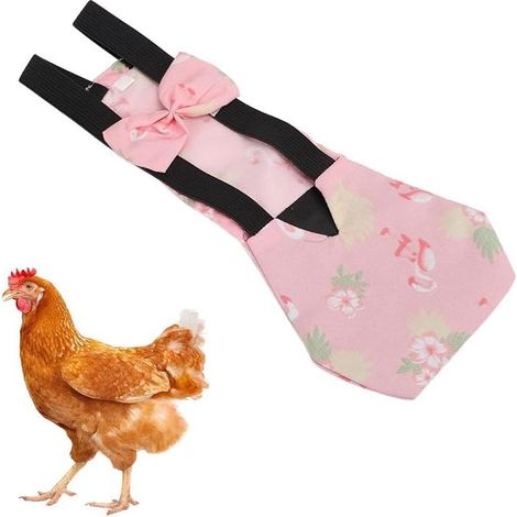 Chicken Diapers Clothing Band (S) (1/5)