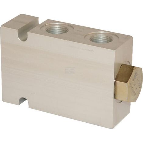 Regolatrice di Portata DANFOSS CP3411001 (1/4)