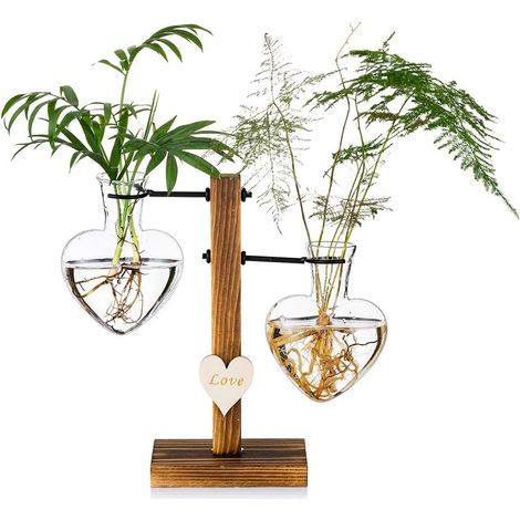 Terrario de cristal para plantas con soporte de madera, jarrón de cristal de doble corazón para hidroponía, estación moderna de propagación de plantas, maceta de mesa para bulbos de flores.