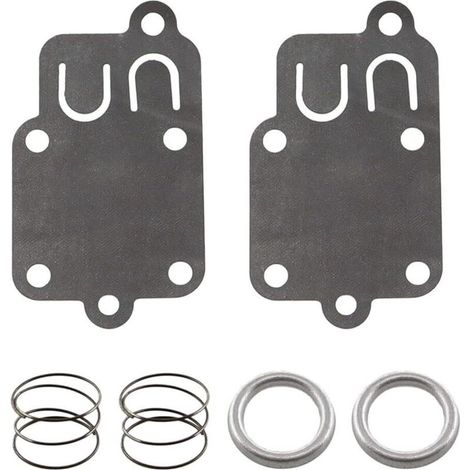 Kit de réparation de carburateur - Membrane pour Briggs Stratton 270026 272538S 272637 moteurs 3 CV jusqu'à 5 CV horizontal (1/5)