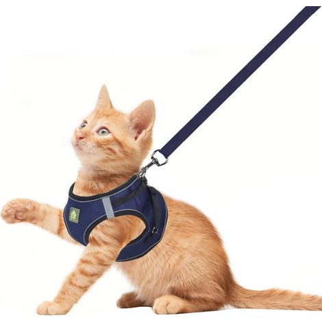 Harnais réglable pour chat et petit chien avec laisse, gilet de promenade respirant et confortable (1/5)