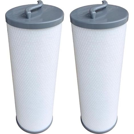 Cartucho de filtro para spa FD4001G compatible con 006541, Silver Sentinel, 900011, RD800-2120, PP6541, rosca hembra, paquete de 2