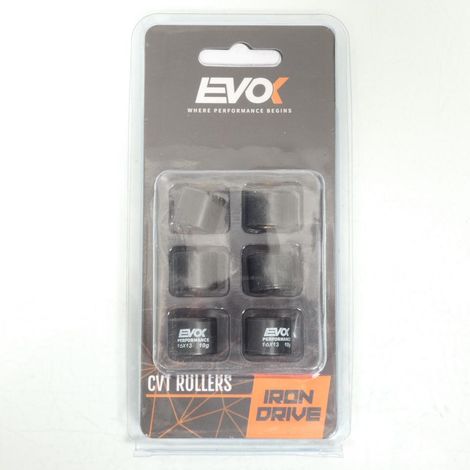 Variomatik-Rolle EVOK für Roller Honda 50 Vision 16x13 10Grs / (1/4)