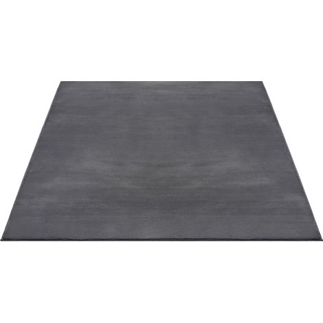 FLOORNOVO Hochflor Teppich Grau einfarbig - 340 x 240 cm - Besonders Weicher Teppich Wohnzimmer & Badezimmerteppich - Pflegeleicht - vielseitig einsetzbar im Innenbereich (1/2)
