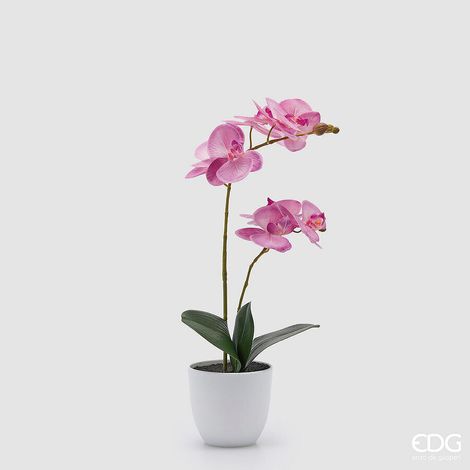 EDG Enzo De Gasperi Orchidea Phalaenopsis con Vaso e Foglie H 50 Cm Pianta Artificiale Fuchsia