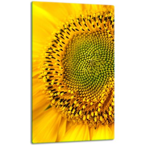 Glasplatte, Tischplatte, 30x52, Blume (1/5)