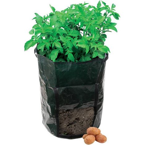 Silverline Potato Planting Bag - 360 x 510mm
