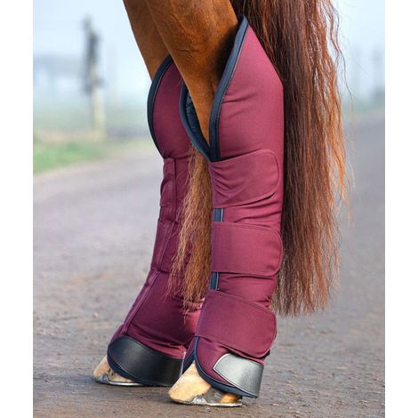 Cob, Bordeaux: Pferdetransportstoßstangen Rambo Travel Boots (1/4)