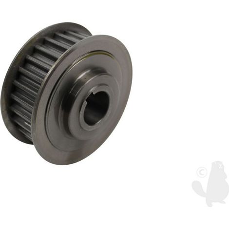 Polea UNIVERSAL FGP454184