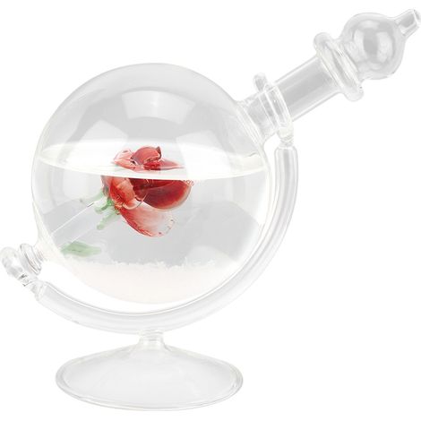 Bouteille en cristal en forme de globe terrestre, symbole de tempête, décoration et cadeau pour la maison. Prévisions météo. Cadeau idéal pour les amateurs de tempêtes de vent. (1/5)