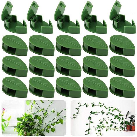 Lot de 20 tuteurs pour plantes grimpantes, supports muraux pour lierre et pothos (1/2)