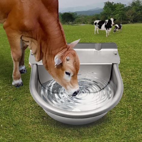 Pferdetränke aus Edelstahl mit 1/2" verstellbarem Messing-Schwimmerventil und Abflusslöchern für Tränkenäpfe für Pferde, Kühe, Schweine, Ziegen, Schafe und Hunde