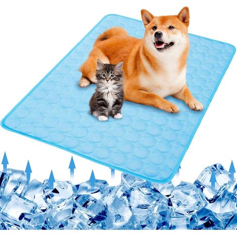 Kühlmatte für Hunde 100x70 cm Selbstkühlende Decke Waschbar Wiederverwendbar Blau - (1/5)