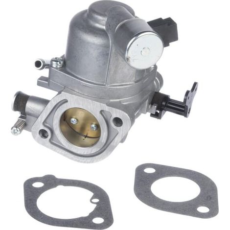 Carburateur BRIGGS ET STRATTON 594207 (1/2)