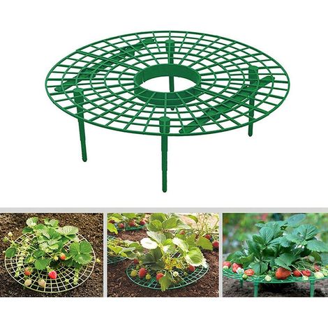 Supports Pour Fraisiers - Cages En Plastique 30 cm De Diamètre - Hauteur 9,5 cm - Élévation Des Fruits Pour Éviter La Pourriture Au Sol - 1 Pièce (1/5)
