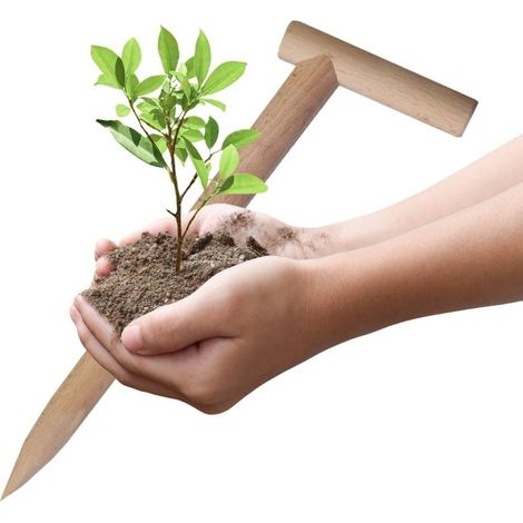 Piantatore per Orto Giardino in Legno Naturale Foraterra o Trapiantatore Manuale Per Piantine Resistente Leggero 44 x 13 x 3 cm (1/5)