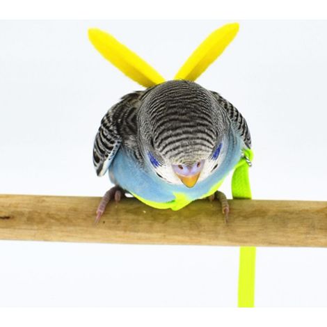 Verstellbares Flügelgeschirr für kleine Vögel, Leine für Papageien und Tauben, für das Training im Freien, Freiflug, verstellbar und komfortabel (1/5)