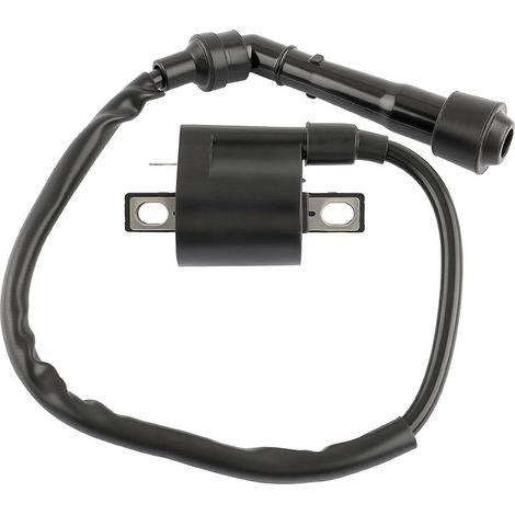Bobine d'allumage Yamaha 3YF-82370-00-00 pour YFM660 2002-2008 (1/5)