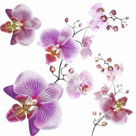 sticker mural fleurs rose et violet - Sanders & Sanders