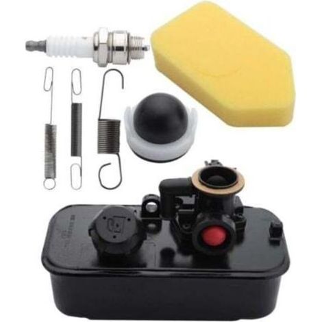 Carburateur et Réservoir Briggs & Stratton 795469 794147 avec Bougies et Filtre à Air pour Tondeuses Sprint Q45 Classic Quattro 40 (1/4)