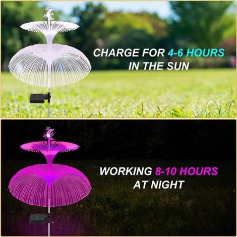 Guirlande lumineuse - - Étoile méduse - Étanche - 3pcs - Éclairage extérieur LED (1/4)