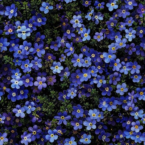 Outdoor dekostoffe oxford - Motiv Blumen I DX5209 (1/5)