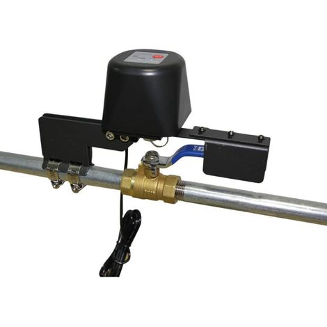 Contrôle intelligent de la valve, télécommande sans fil WiFi ou Bluetooth, minuteur, interrupteur d'arrosage intelligent pour arrêt automatique du gazoduc, prise européenne (1/5)