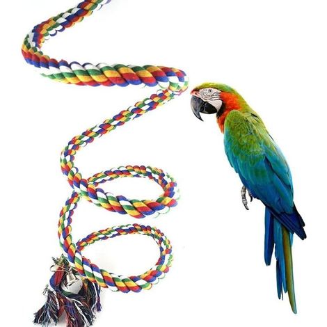 Jouet pour Perroquet, Corde d'Escalade avec Cloche, Swing pour Petits Oiseaux