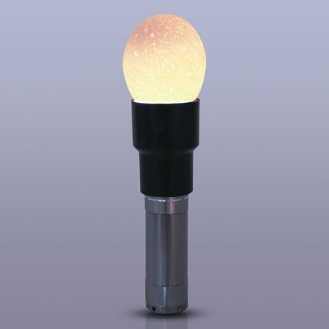 Lampe LED puissante alimentée par batterie pour l'inspection et le contrôle des œufs de volaille en incubateur (argent) (1/5)