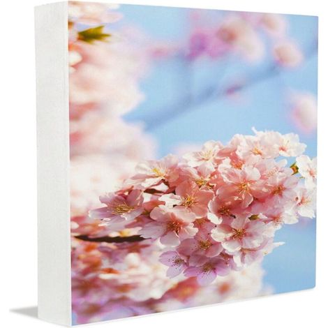 Cadre photo, décoration murale mignonne pour bureau d'adolescents, panneau photo personnalisé, cadeau idéal pour Noël, la Saint-Valentin et la fête des mères (1/5)