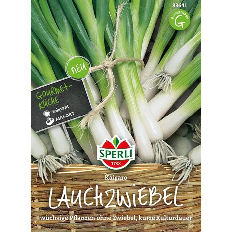 Sperli Lauchzwiebeln Kaigaro - Gemüsesamen (1/2)