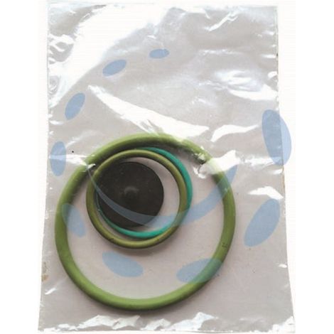 SET RICAMBI PER POMPA ARES VITON