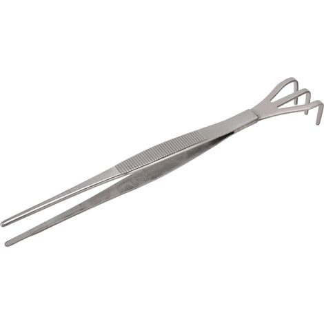 GARRYFIZH Root Râteau avec pinceau 3 Prong en acier inoxydable desserré les outils de bonsaï du sol manche ergonomique droite