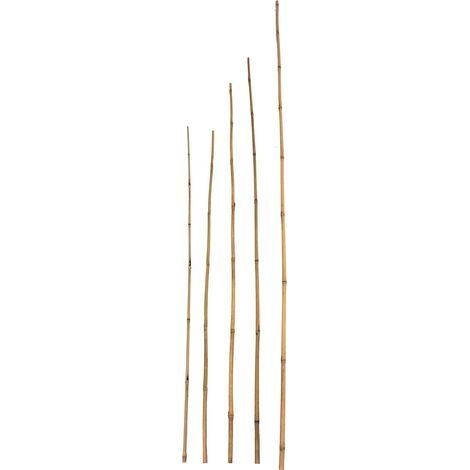 Bambuspflanz/Dekostab Classic L=300cm, Ø 50-60mm, natur