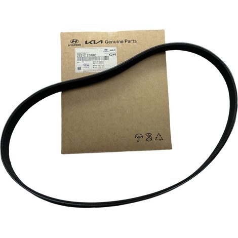 252122GGA1 25212-2GGA1 sont des pièces automobiles adaptées aux courroies d'alternateur Hyundai et Kia. (1/4)