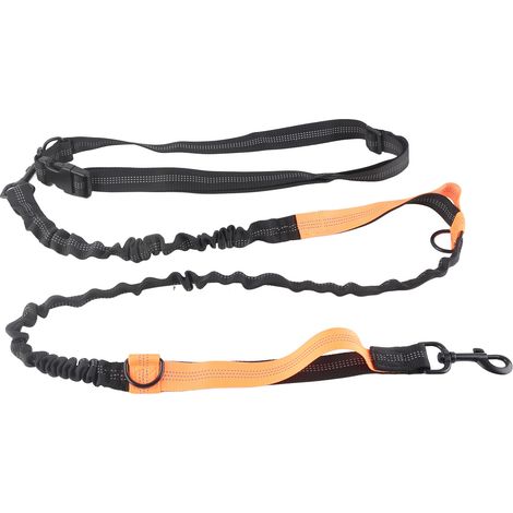 Laisse élastique robuste pour chien, absorbant les chocs, avec 2 poignées rembourrées, idéale pour les promenades et l'éducation des grands chiens (orange). (1/5)