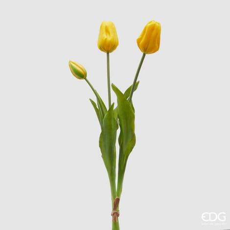 EDG Enzo De Gasperi Tulipano Gommato Olis 3 Rami H 48 Cm Giallo 1 Cf