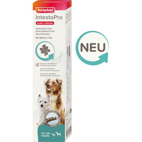 Beaphar IntestoPro Paste für Hunde - Unterstützt das Gleichgewicht der Darmfunktion - 2x 20 ml (1/5)