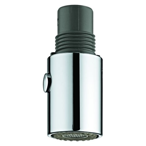 GROHE 46857000 Spülbrause 46857 chrom (1/3)