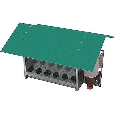 Alimentatore esterno e bevitore per polli e pollame
