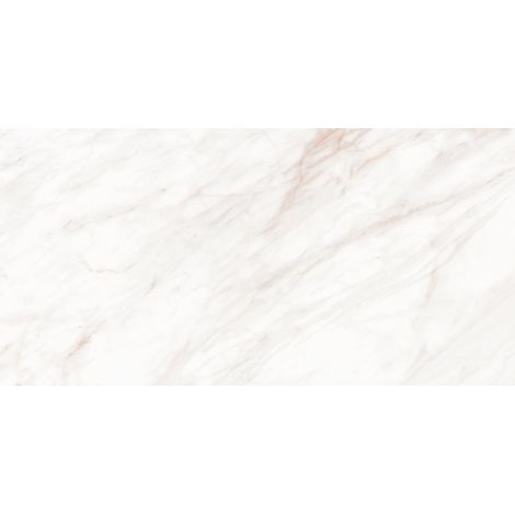 Mexen Forever Grey gres esmaltado rectificado G1, baldosa para suelo y pared 120 x 60 cm, brillo - TL139-120-060-00 (1/5)
