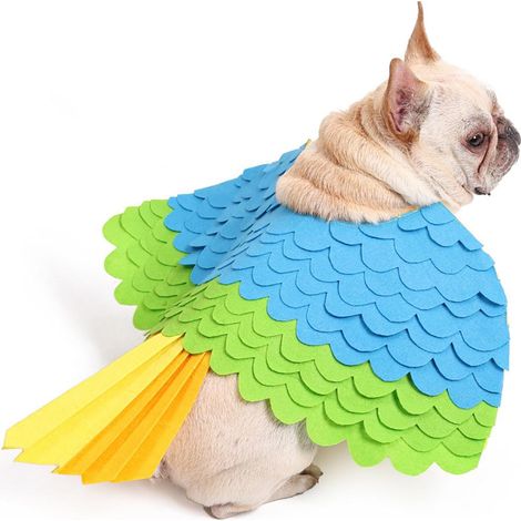 Costume d'Halloween pour Chien et Chat en Forme d'Oiseau avec Ailes en Feutre (1/5)
