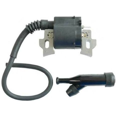 Lot de 2 bobines d'allumage compatibles avec moteurs Honda, Loncin et Rato, longueur 200mm, entraxe 58mm, épaisseur 12mm, allumage fiable pour tondeuse. (1/3)