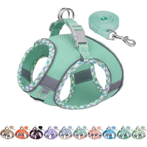 Ensemble Harnais et Laisse pour Chien pour la Promenade, Harnais pour Chiot, Bandes réfléchissantes, pour très Petits Chiens et Chats domestiques Turquoise XXS (1/5)