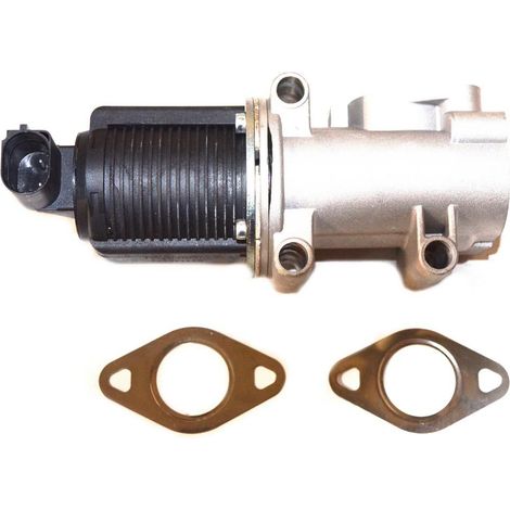 Vanne EGR rapide FT60238