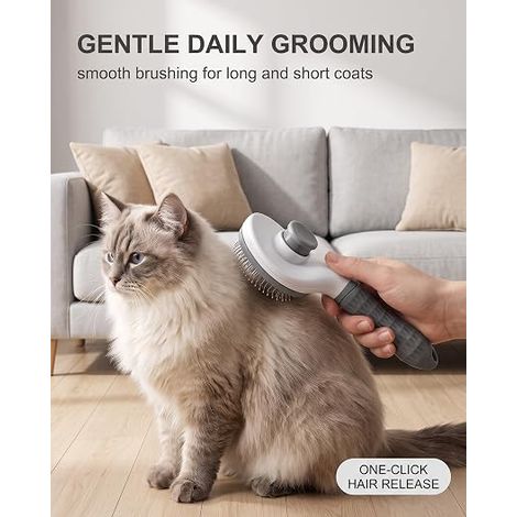 Brosse Chat et Chien en Clic Gris Peigne de Toilettage Doux pour Éliminer les Poils Morts Chat et Chien Poil Long ou Court (1/4)