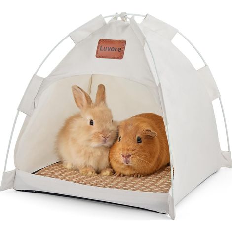 Tente Lit de Chat Portable 40x40x37cm, Tente pour Animal Domestique, Aucune Installation requise, Nid avec Coussin Amovible, Tipi pour Chiens, Chats, Lapins (1/5)