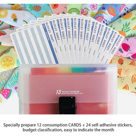 Enveloppes en plastique réutilisables pour la gestion budgétaire et l'épargne (1/5)