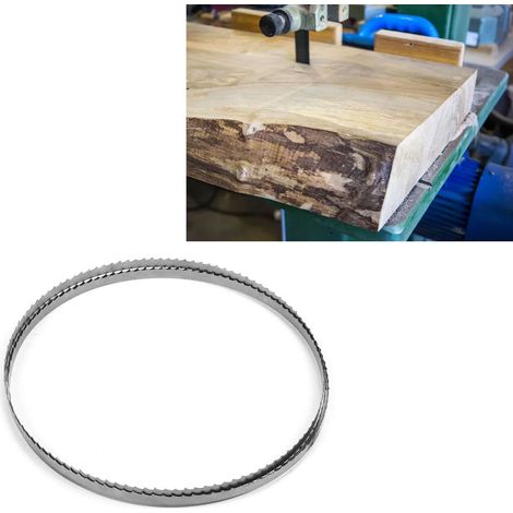 Lame de scie à ruban 14256,356T pour scies à bois et machines à découper la viande (1/5)